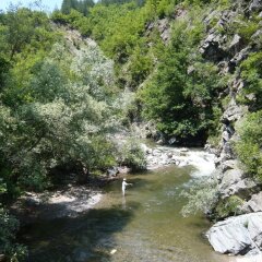 Отель Melanya Mountain Retreat Болгария, Ардино - отзывы, цены и фото номеров - забронировать отель Melanya Mountain Retreat онлайн фото 23