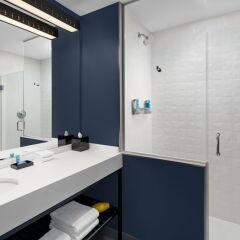 Отель Aloft Delray Beach США, Делри-Бич - отзывы, цены и фото номеров - забронировать отель Aloft Delray Beach онлайн ванная фото 2