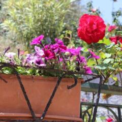 Отель B&B Villa Maria Таормина спортивное сооружение