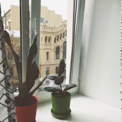 Хостел Chickadee комната для гостей фото 5