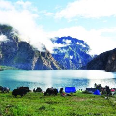 Отель Kathmandu Regency Hotel Непал, Катманду - отзывы, цены и фото номеров - забронировать отель Kathmandu Regency Hotel онлайн приотельная территория