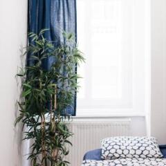 Hello Hostel Будапешт комната для гостей фото 5