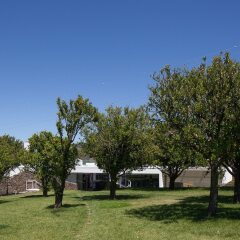 Отель Quinta De Casaldronho Wine Hotel Португалия, Ламего - отзывы, цены и фото номеров - забронировать отель Quinta De Casaldronho Wine Hotel онлайн фото 15