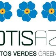 Отель Lofts Azul Pastel с домашними животными