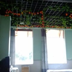 Hongyun Hostel комната для гостей фото 2
