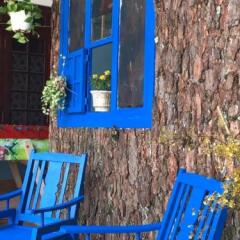 Отель Dalat Coffee House Homestay Далат спортивное сооружение