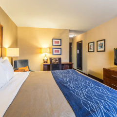 Comfort Inn in Tupelo, United States of America from 110$, photos, reviews - zenhotels.com room amenities