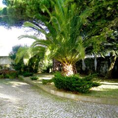 Отель SPH - Sintra Pine House парковка