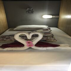 Far Out Boutique Hotel с домашними животными