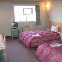 Takasaki Ekimae Plaza Hotel Томиока комната для гостей фото 2