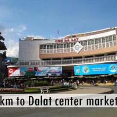 GoGo Dalat Hostel Далат городской автобус