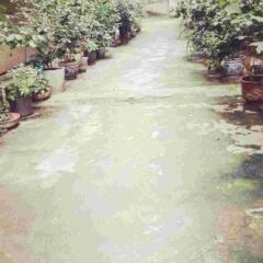 Hongxi Hostel