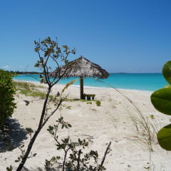 Paradise Bay in Farmer's Hill, Bahamas from 351$, photos, reviews - zenhotels.com beach photo 4