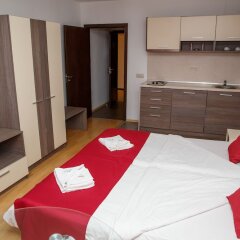 Hotel Mountain Paradise by the Walnut Trees Банско комната для гостей фото 5