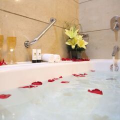 Отель Best Western Premier Shenzhen Felicity Hotel Китай, Шэньчжэнь - отзывы, цены и фото номеров - забронировать отель Best Western Premier Shenzhen Felicity Hotel онлайн ванная