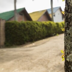 Отель Ecovilla Cali парковка