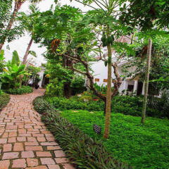 Отель Muca Hoi An Boutique Resort & Spa фото 6