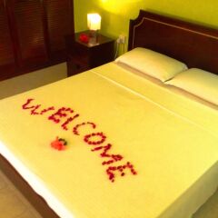 Отель Beau Vallon Bungalows Сейшельские острова, Остров Маэ - отзывы, цены и фото номеров - забронировать отель Beau Vallon Bungalows онлайн