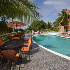 Отель Dream Castle Villa, Montego Bay 8BR Ямайка, Монтего-Бей - отзывы, цены и фото номеров - забронировать отель Dream Castle Villa, Montego Bay 8BR онлайн бассейн фото 3