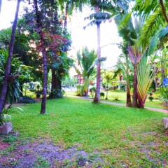 Basaya Beach Hotel & Resort фото 12