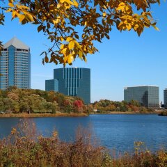 Отель Hilton Minneapolis Bloomington Блумингтон приотельная территория