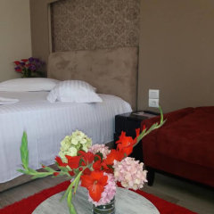 Отель Erandi Албания, Тирана - отзывы, цены и фото номеров - забронировать отель Erandi онлайн фото 2