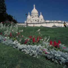 Отель Mercure Paris Montmartre Sacré Coeur фото 10
