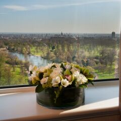 Отель Lancaster London Великобритания, Лондон - 1 отзыв об отеле, цены и фото номеров - забронировать отель Lancaster London онлайн фото 4