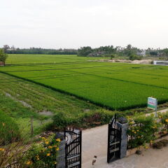 Отель The Field Homestay Hoi An спа