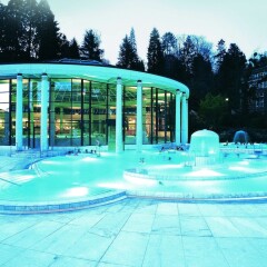 Отель Aqua Aurelia Suitenhotel Германия, Баден-Баден - 1 отзыв об отеле, цены и фото номеров - забронировать отель Aqua Aurelia Suitenhotel онлайн бассейн