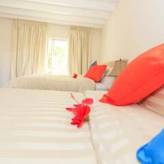 Отель Sunset Shores Beach Hotel Сент-Винсент и Гренадины, Остров Бекия - отзывы, цены и фото номеров - забронировать отель Sunset Shores Beach Hotel онлайн комната для гостей фото 5