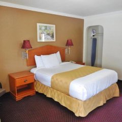 Americas Best Value Inn Antioch in Pacheco, United States of America from 157$, photos, reviews - zenhotels.com guestroom photo 5