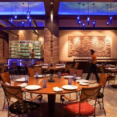 Отель Radisson Blu Plaza Delhi Airport гостиничный бар