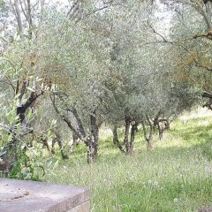 Отель Fattoria Il Milione фото 8