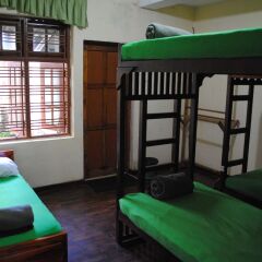 Comfort inn & Hostel детские мероприятия