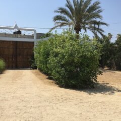 Отель Casa Malka Мексика, Кабо-Сан-Лукас - отзывы, цены и фото номеров - забронировать отель Casa Malka онлайн с домашними животными