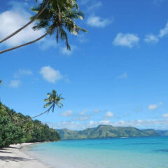 Matana Beach Resort in Kadavu Island, Fiji from 367$, photos, reviews - zenhotels.com beach