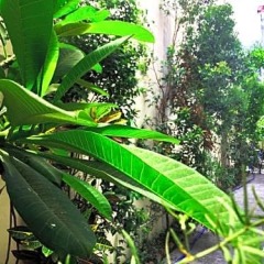 Отель friendlee house