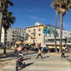 Отель Venice Beach Suites & Hotel США, Лос-Анджелес - отзывы, цены и фото номеров - забронировать отель Venice Beach Suites & Hotel онлайн фото 4