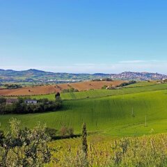 Отель Agriturismo Il Parco Di Kipo Монтефано фото 10