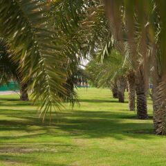 Отель Green Mubazzarah Chalets ОАЭ, Эль-Айн - отзывы, цены и фото номеров - забронировать отель Green Mubazzarah Chalets онлайн фото 6