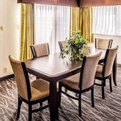 Отель Comfort Inn Downtown Charleston в номере