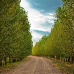 Отель Algodon Wine Estates and Champions Club Аргентина, Сан-Рафаэль - отзывы, цены и фото номеров - забронировать отель Algodon Wine Estates and Champions Club онлайн фото 8