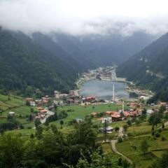 Uzungol Kusva Apart Турция, Узунгёль - отзывы, цены и фото номеров - забронировать отель Uzungol Kusva Apart онлайн