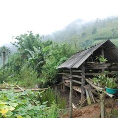 Хостел BC Family Homestay - Hanoi's Heart Ханой бассейн