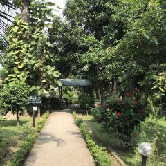 Отель Unique Wild Resort Непал, Саураха - отзывы, цены и фото номеров - забронировать отель Unique Wild Resort онлайн фото 4