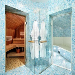 Отель Radisson Blu Royal Astorija Hotel Литва, Вильнюс - 3 отзыва об отеле, цены и фото номеров - забронировать отель Radisson Blu Royal Astorija Hotel онлайн сауна