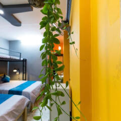GoCo Hostel бассейн
