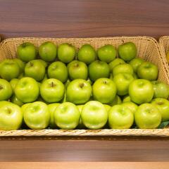 Отель Holiday Inn Express Frankfurt City Hauptbahnhof с домашними животными