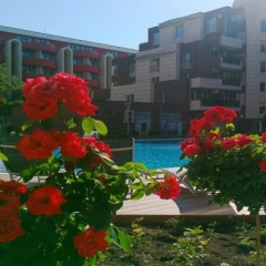 Admiral Plaza Hotel Солнечный берег фото 9